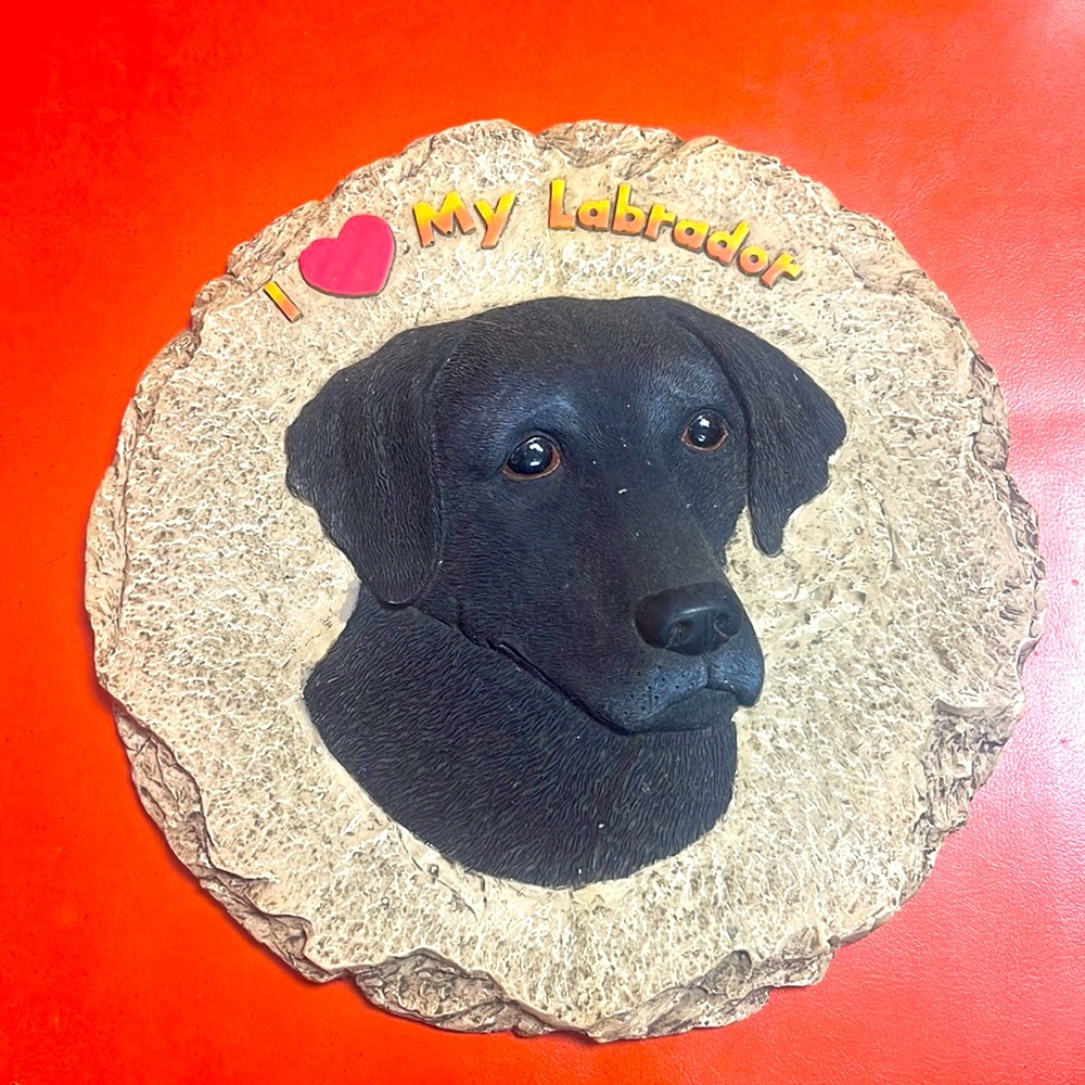 Black Labrador Stepping Stone 🪨
